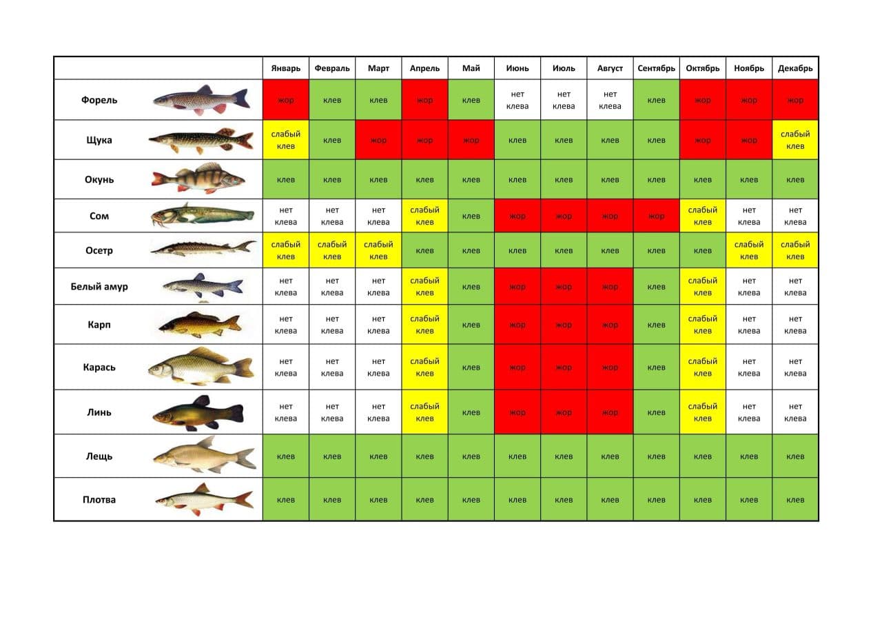 Календарь рыболова на месяц и на Год 2022