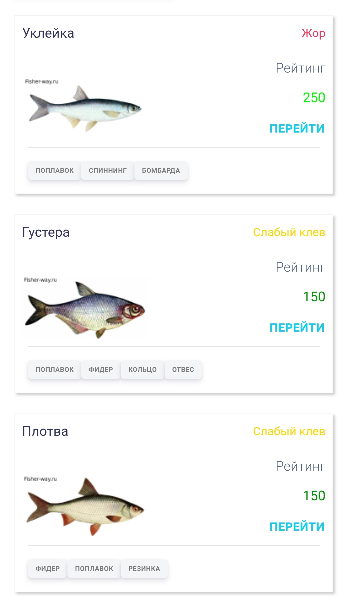 Календарь рыболова в Назарово - информация и советы