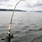 Вид ловли рыбы Спиннинг